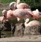 Description to come soon!